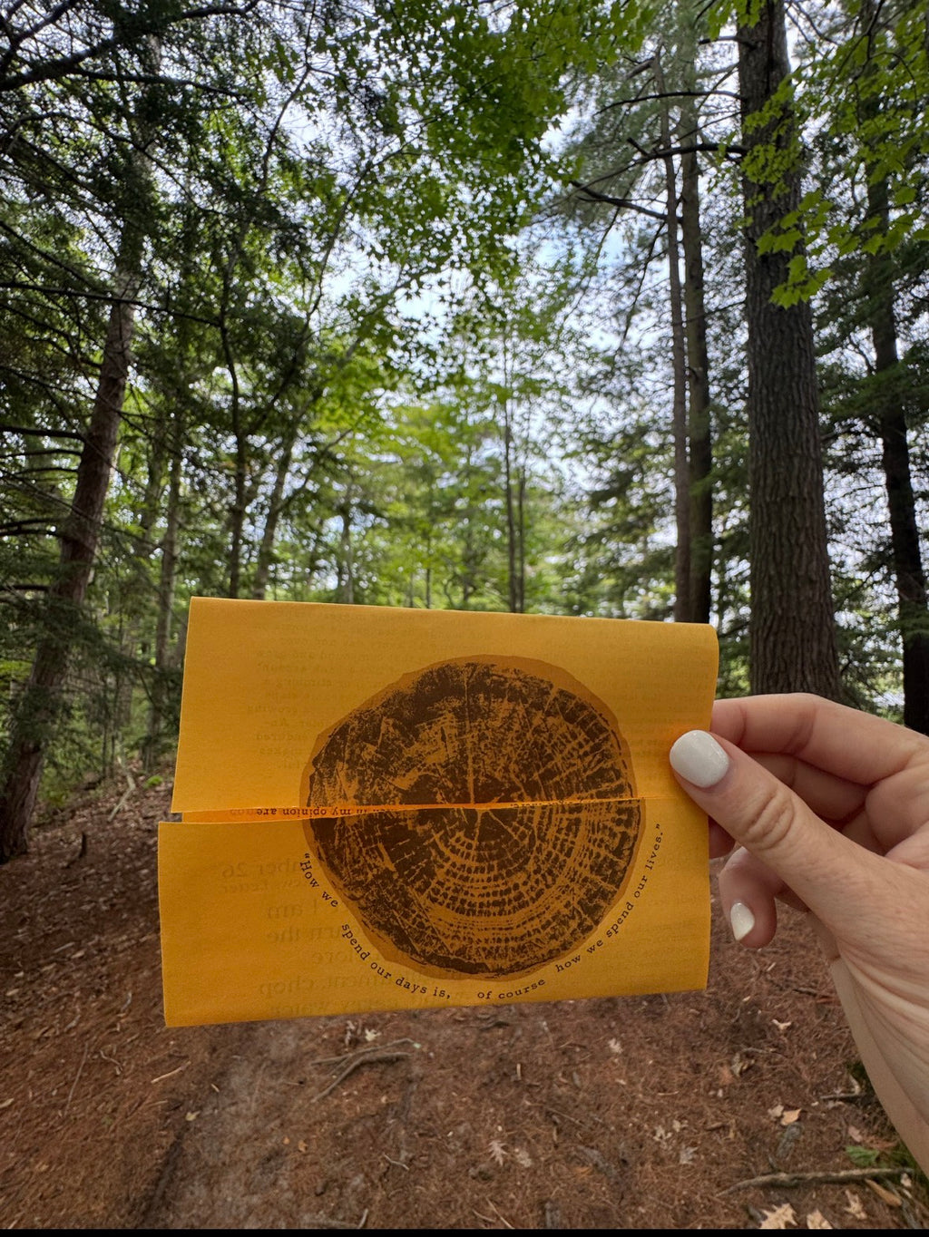 Snail Mail Club