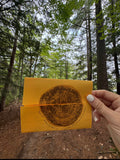 Snail Mail Club